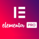 Elementor PRO